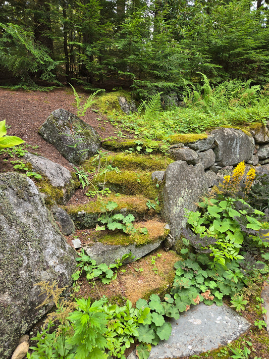 The Groundwork: A Threshold Session