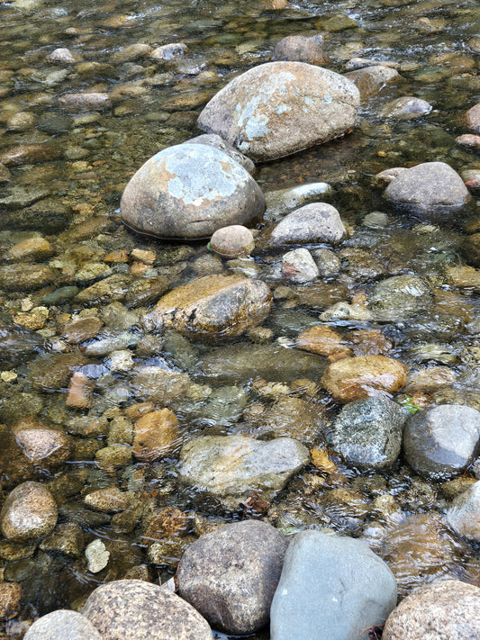 Resilient Motion Session